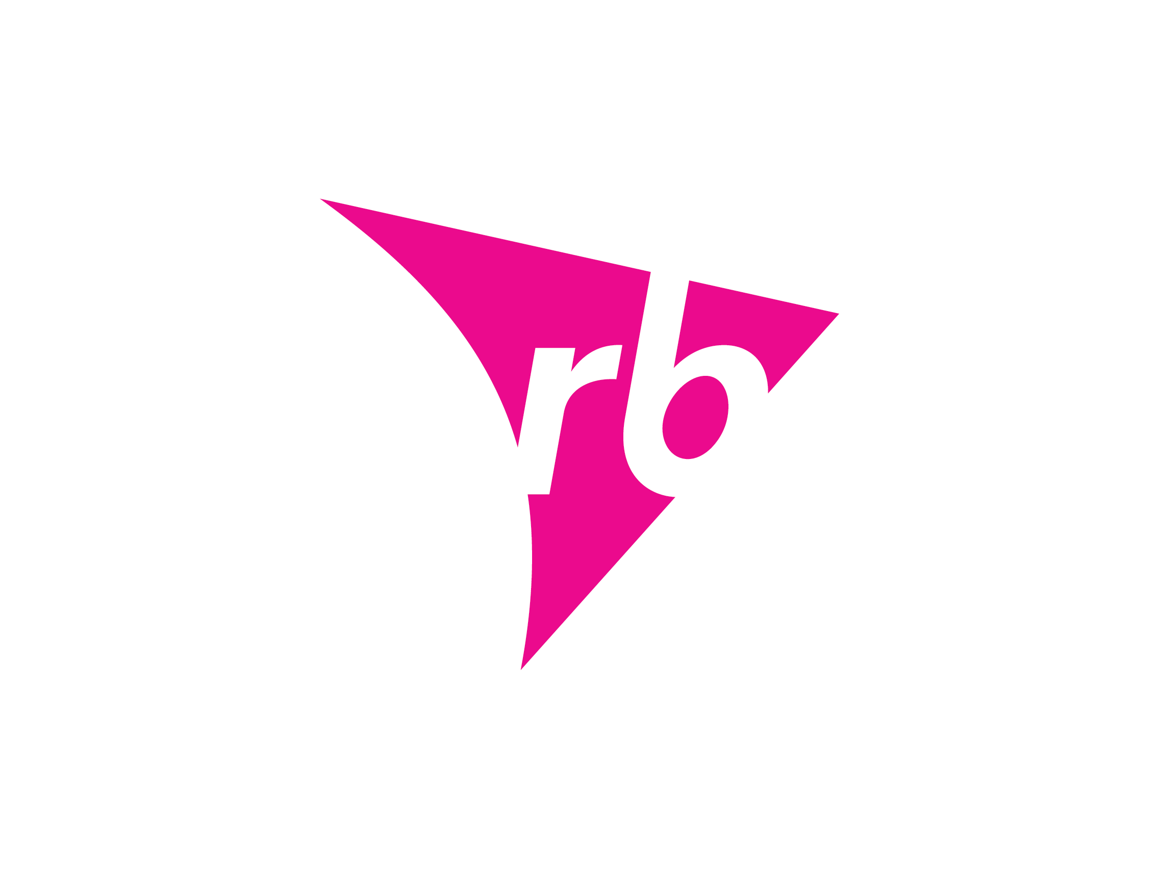 A fresh approach on Reporting at RB 1 India CSR