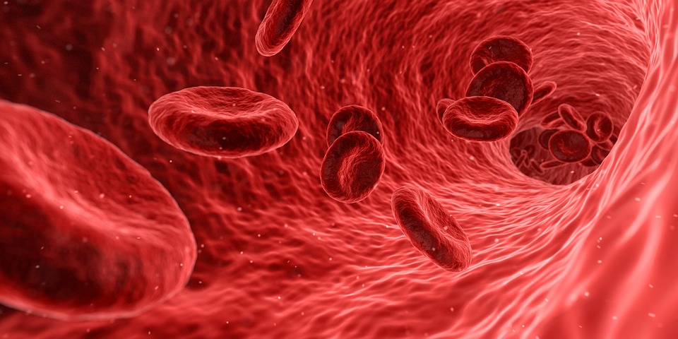 Joint Collaboration on Cancer Research 1 Photo: pixabay.com/users/qimono-1962238/
