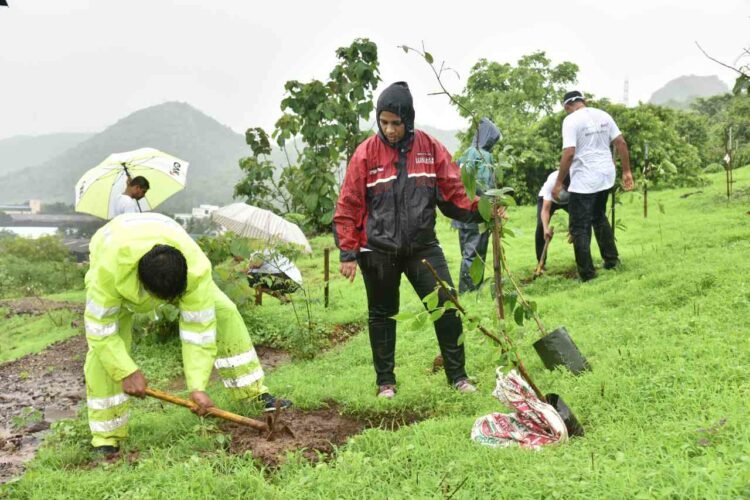 Tree Plantation in India