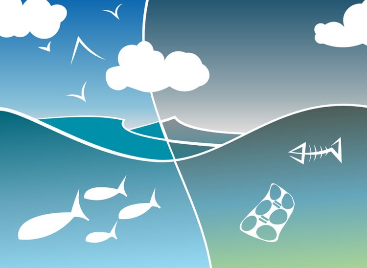 Environent esg and sustainability