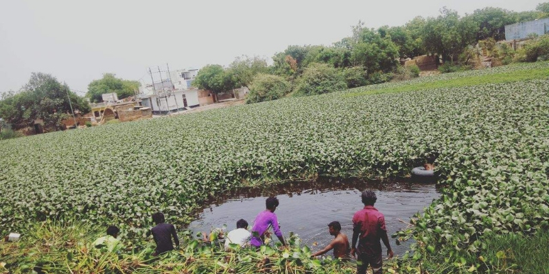 HCL Tech to invest Rs 8 Cr for restoration of ponds 1 India CSR