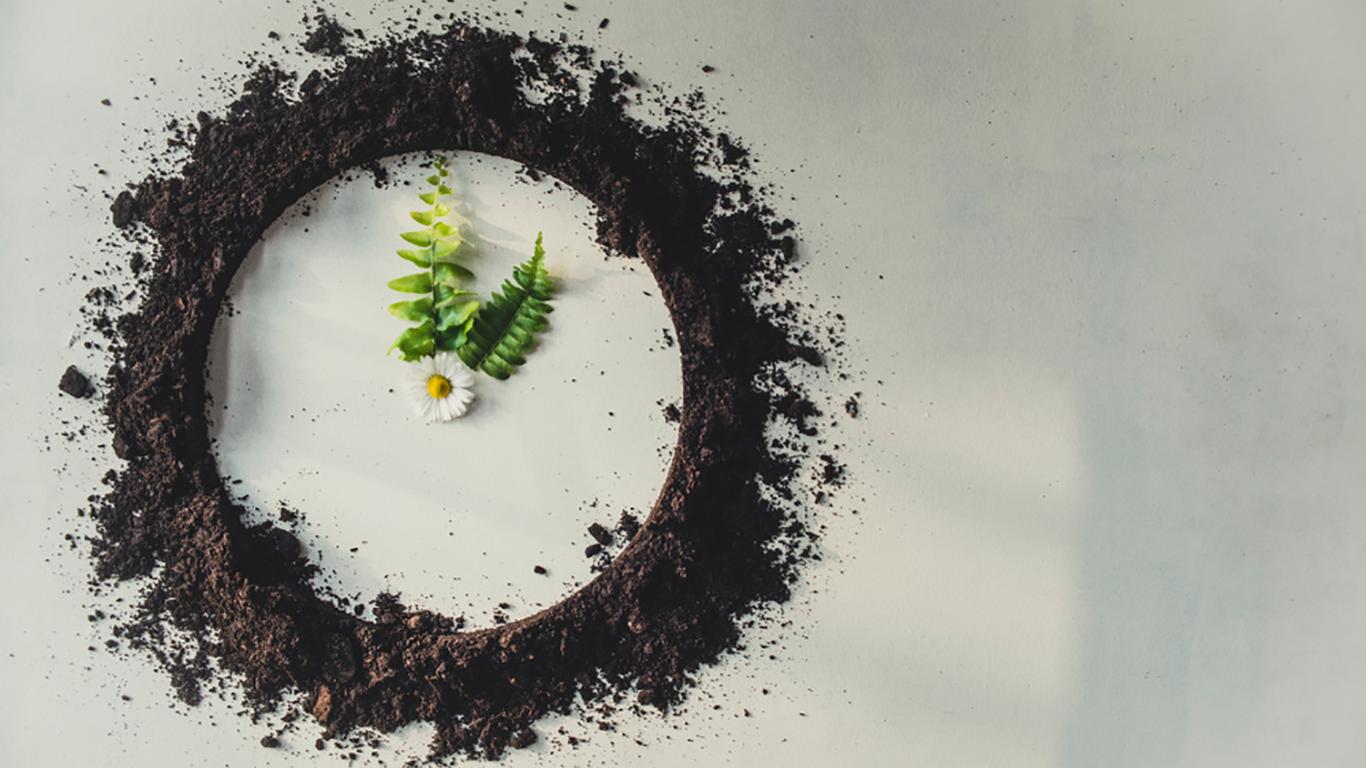 Waste to Energy projects to help solve India’s pollution crisis 1 India CSR