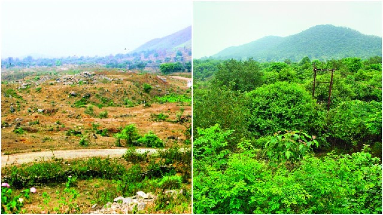 Marg aims to prepare 10 lakh seed bombers for green cover India CSR