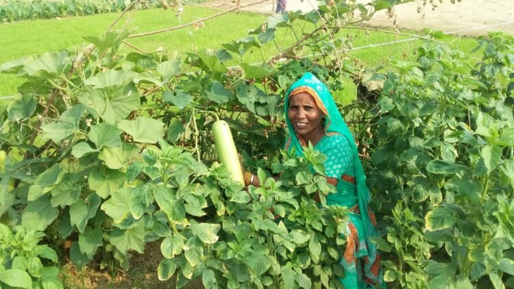 India CSR