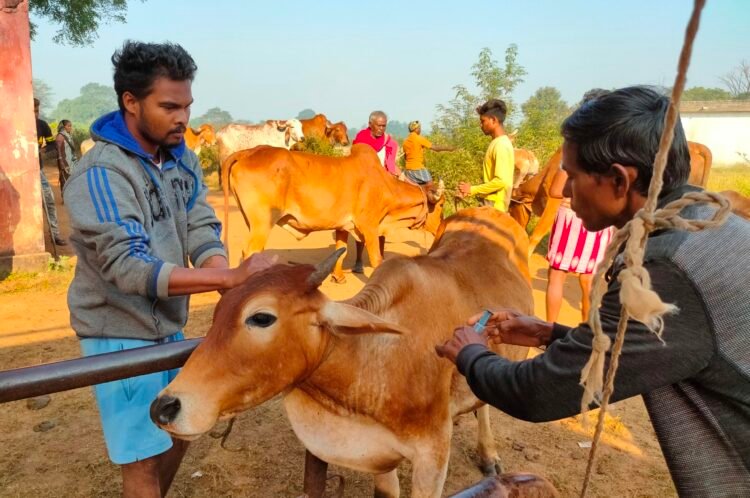 AROH Foundation is transforming lives of Dairy farmers of 80 villages ...