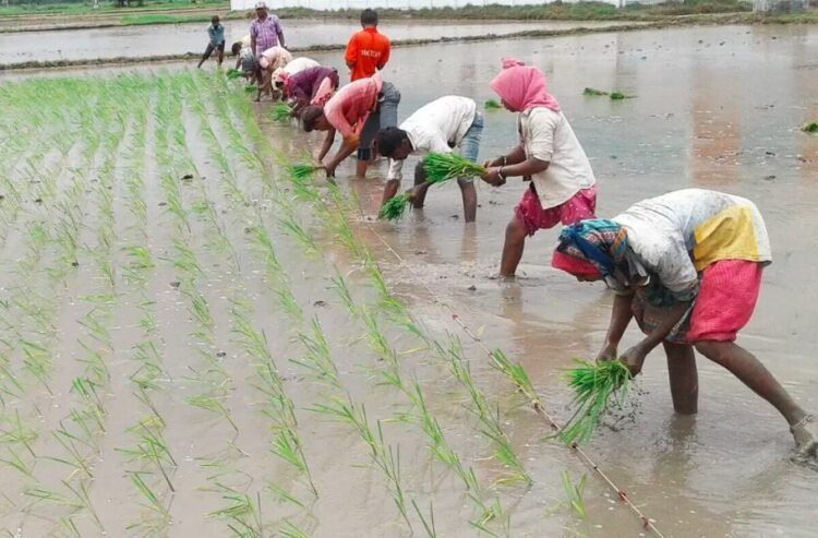 India CSR