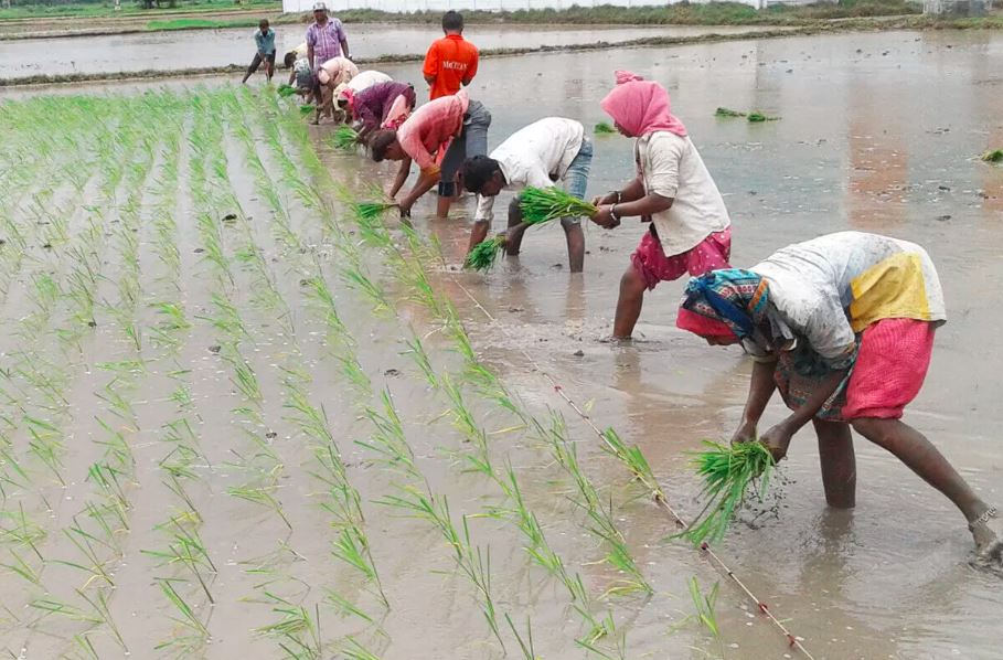 India CSR