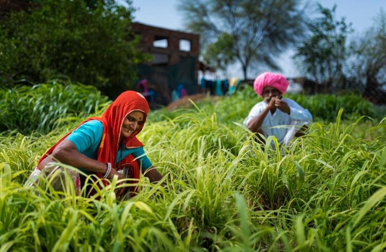 India CSR