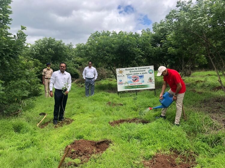 Sula Vineyards Plantation Drive near Savargaon. Photo Source: Sula Vineyerds