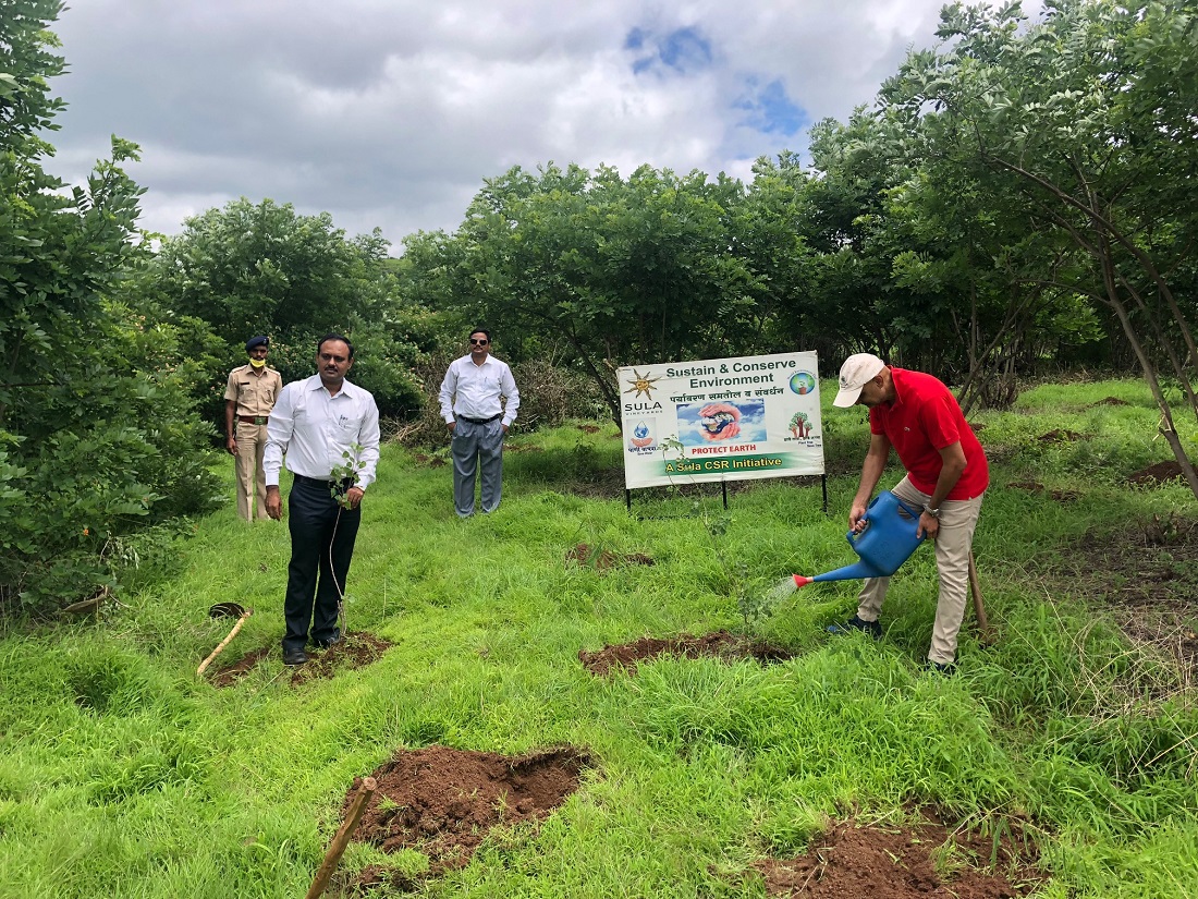 Corporate Social Responsibility (CSR): Sula Vineyards Plants over 6000 saplings 1 Sula Vineyards Plantation Drive near Savargaon. Photo Source: Sula Vineyerds