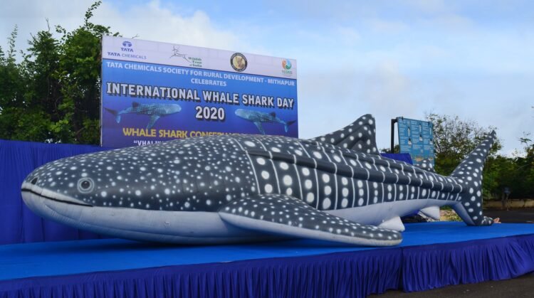 Celebrating the Gentle Giant, the Whale Shark – World’s Largest Fish 1 India CSR