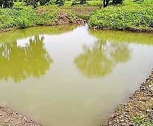 Census on Water Bodies