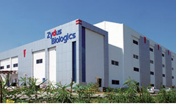 Cadila Healthcare spends Rs. 22 Cr on CSR - Corporate Social Responsibility in FY 2020 1 India CSR