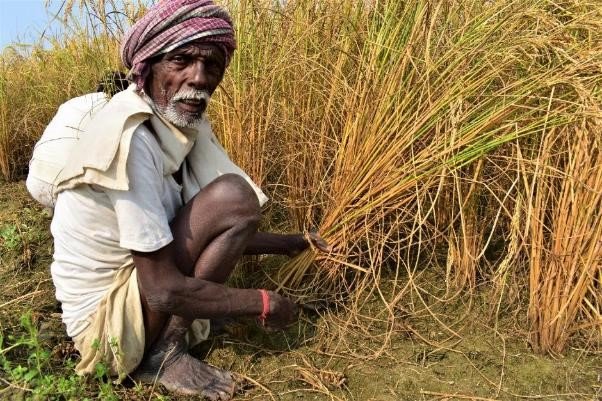 India CSR
