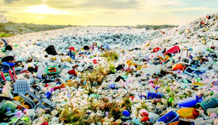 Turning Urban Waste to Sustainability: The Paperman’s innovations 1 India CSR