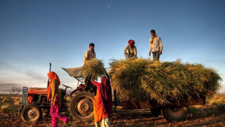 CSR and Farmer Welfare