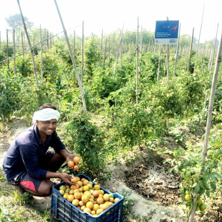 India CSR