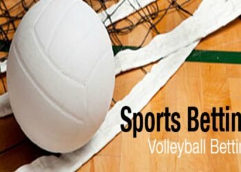 How can you make a profit in betting on volleyball?