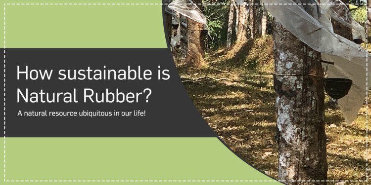 India CSR