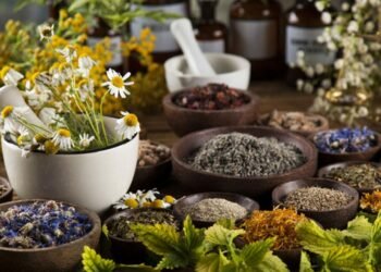 Covid-19: Naturopathy Best Bet to Maintain Healthy Liver