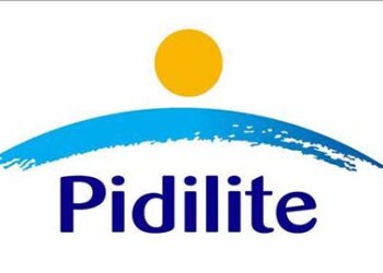 Pidilite Industries Ltd Corporate Social Responsibility - CSR in India