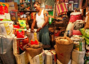 CSR: Home Credit Partners with SEWA Bharat to restore livelihoods of nano entrepreneurs