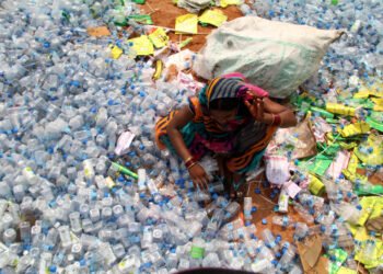 Circular Economy: Coca-Cola collecting 10 tons plastic waste over next two months