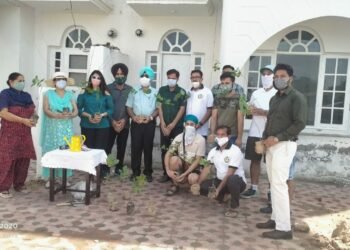 5500 plants and sapling planted in and around Smart City, Mohali