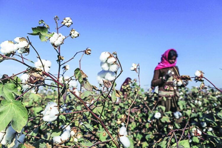 India CSR