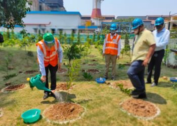 2000 saplings were planted at Tata Steel Kalinganagar housing colony