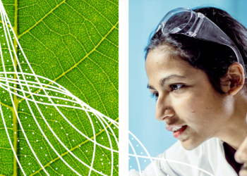 Flex Releases its 2021 Sustainability Report