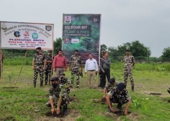 CSR: Canara HSBC OBC Life Insurance plants 1300 trees