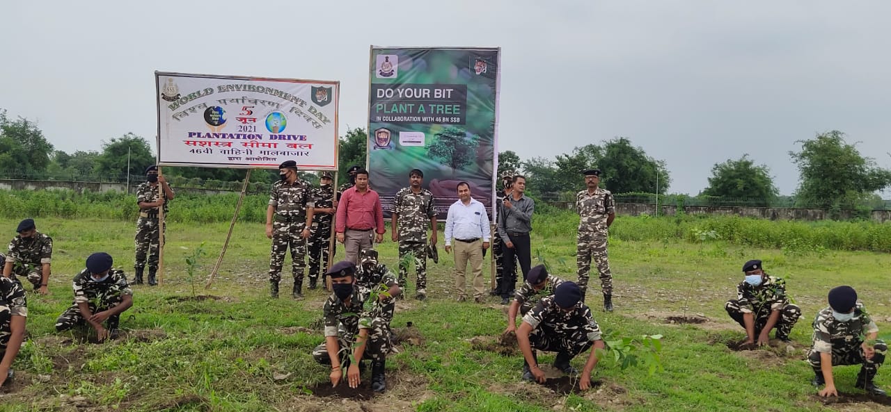 CSR: Canara HSBC OBC Life Insurance plants 1300 trees 1 India CSR®