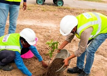 Adani this year planted 1.8 lakh trees