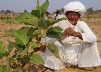 Enhancing Food Security through Good Seeds, Soil, Water Efficiency, and Empowerment (Tryst with Destiny Part 2)