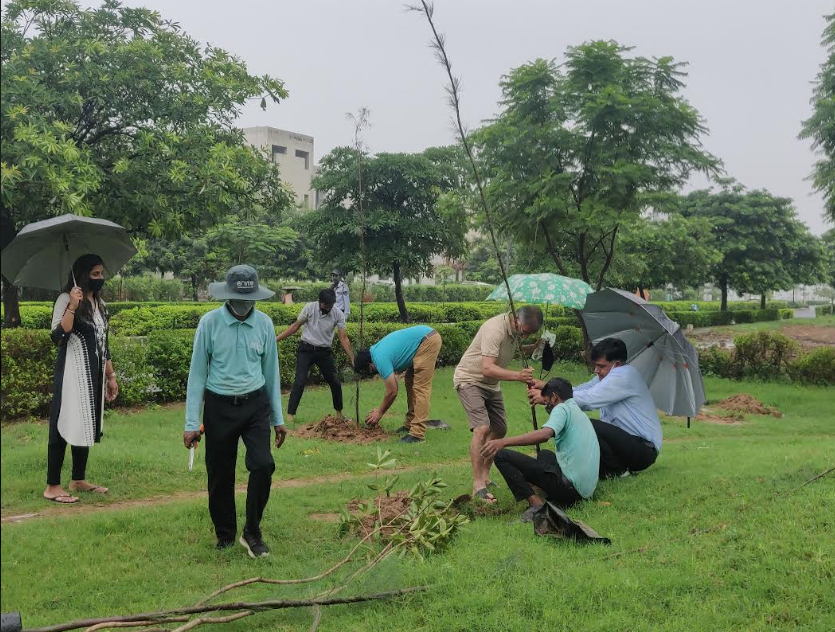 Enviro, Seven Lamps RWA celebrate World Nature Conservation Day in Gurugram 1 India CSR