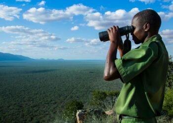 Unprecedented private-sector finance deal to generate over $2bn to protect threatened forests, wildlife, and improve community livelihoods
