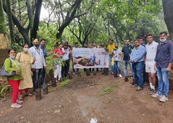 IIFL Foundation organises a tree plantation drive in Mumbai
