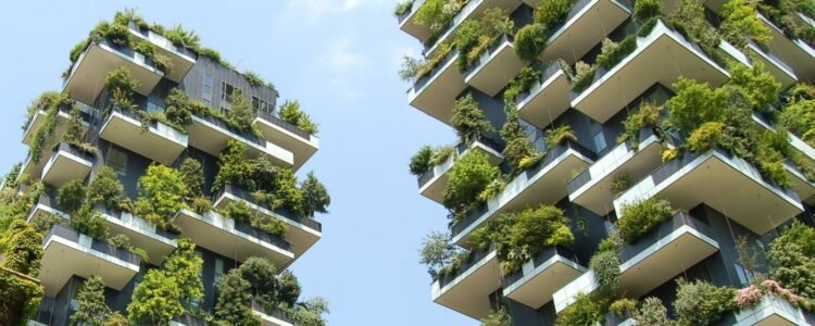 Photo: https://www.boody.com.au/blogs/eco/why-living-a-sustainable-life-is-good-for-you-and-the-planet