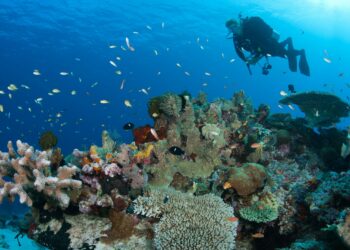 Environment Sustainability: Tata Chemicals planted 1.15 lakh mangroves last year