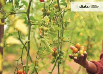 The world needs sustainable agriculture