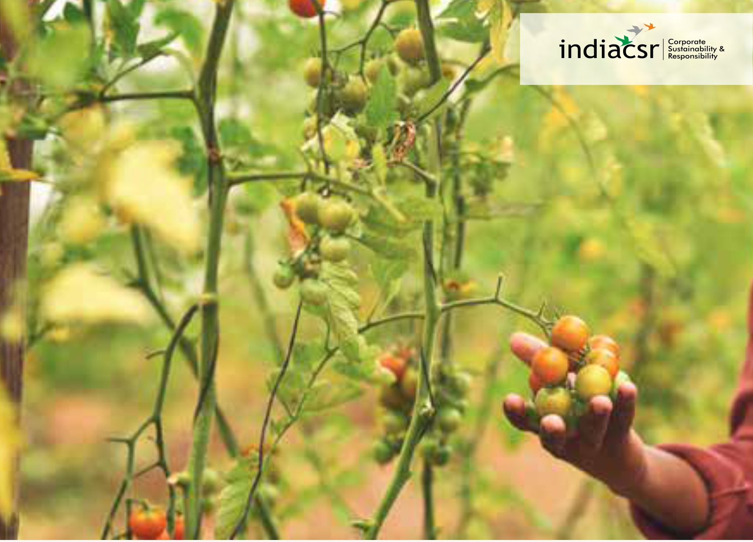 India CSR