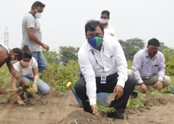 Sustainability: Blue Dart plants over 1 lakh trees for Elephants in Dalma Wildlife Sanctuary in Jharkhand