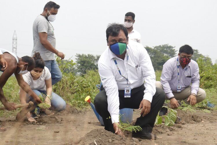 Sustainability: Blue Dart plants over 1 lakh trees for Elephants in Dalma Wildlife Sanctuary in Jharkhand 1 India CSR