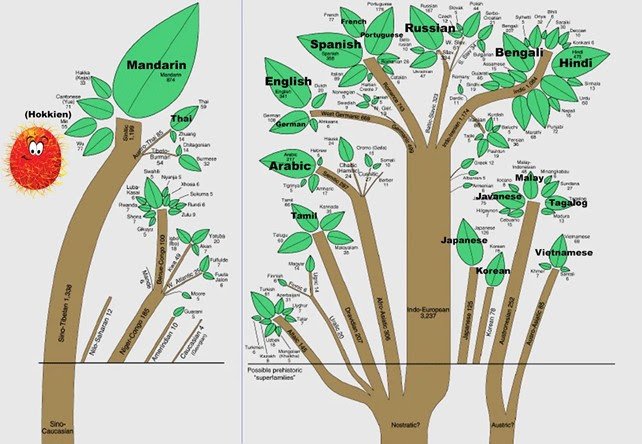 Sustainable Development through Mother Tongue and Multilingualism 2 India CSR