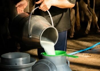 India’s Action Plan to Promote Dairy Industry