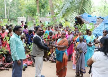 Employment for tribal communities through tree plantation drives