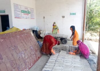 CSR: Public road with Paver Blocks made by Hindustan Zinc’s Sakhi Women opens for community