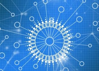 Why you should invest in NFT’s from WazirX