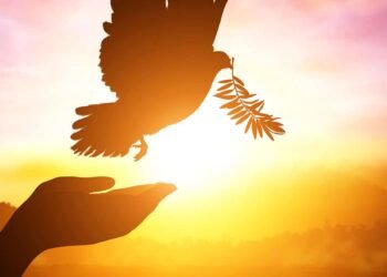 The Heartfulness Peace Anthem Launch on International Day of Peace